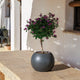 Round DALIA 50 flowerpot