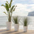 Round pot GERBERA 45