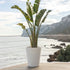 Pot with rustic finish GERBERA 50
