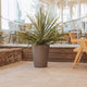 Round pot GERBERA 33