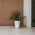 Round pot GERBERA 33