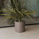 Round pot HORTENSIA 40