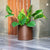 Round pot HORTENSIA 40