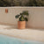 Round pot HORTENSIA 40