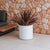 Round pot HORTENSIA 30