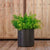 Round pot HORTENSIA 30