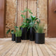 ROUND POT HORTENSIA 80