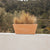 Rectangular pot JAZMIN 60