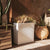 SQUARE POT JUNCO 80