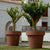 Giant pot MAGNOLIA 120