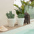 Round pot MAGNOLIA 30