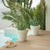Round pot MAGNOLIA 30