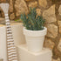 Round pot MAGNOLIA 30