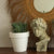 Round pot MAGNOLIA 30