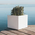 Square pot NARCISO 40