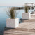 Square pot NARCISO 50