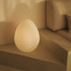 Egg-shaped lamp OVO