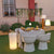 Illuminated bottle rack PALMA 70