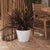 Round pot PETUNIA