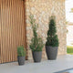 Round pot VIOLETA 55