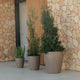 Round pot VIOLETA 55