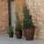 Round pot VIOLETA 55