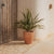 Round pot VIOLETA 55