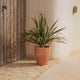 Round pot VIOLETA 55