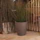 Round pot VIOLETA 55