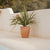 Round pot VIOLETA 55