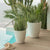 Round pot VIOLETA 55