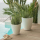 Round pot VIOLETA 55