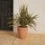 Round pot VIOLETA 55
