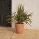 Round pot VIOLETA 55