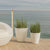 Round pot VIOLETA 55