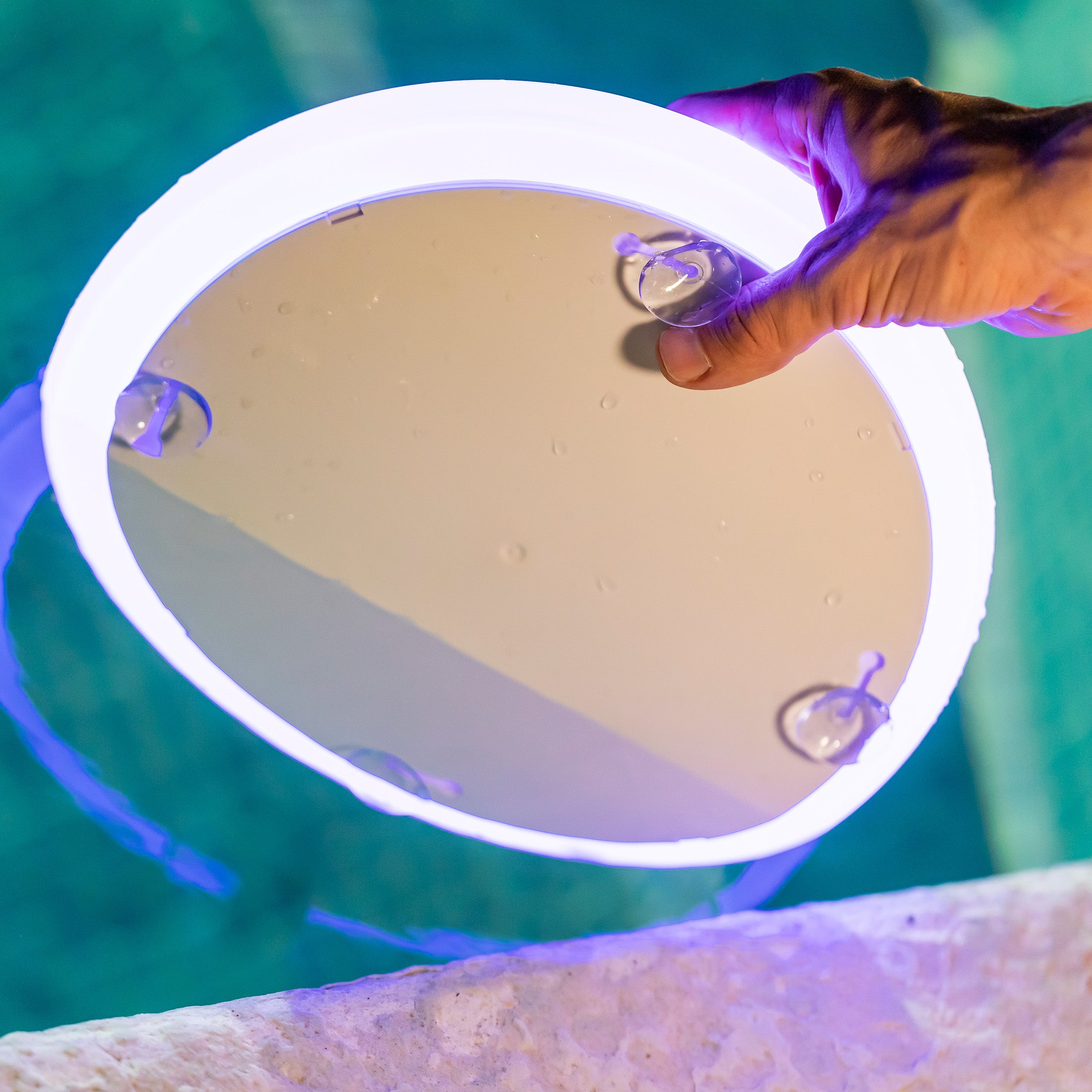Luz LED RGB para piscina recargable Papaya de New Garden