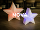 Christmas star Nova 45