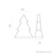 Christmas Tree Pinus 40